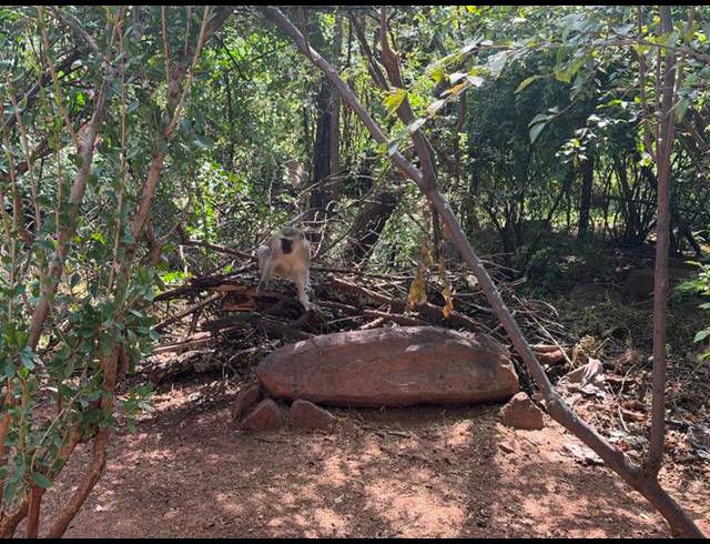 8 BEDROOM HOUSE FOR SALE IN PRESIDENTSRUS